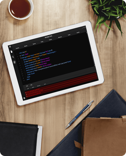 Web Development Service