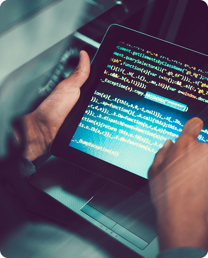 Web Development Service