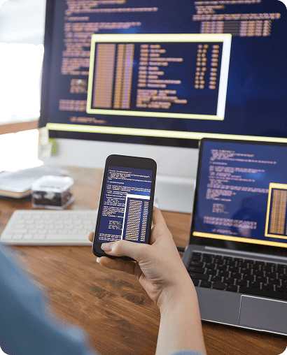 Web Development Service