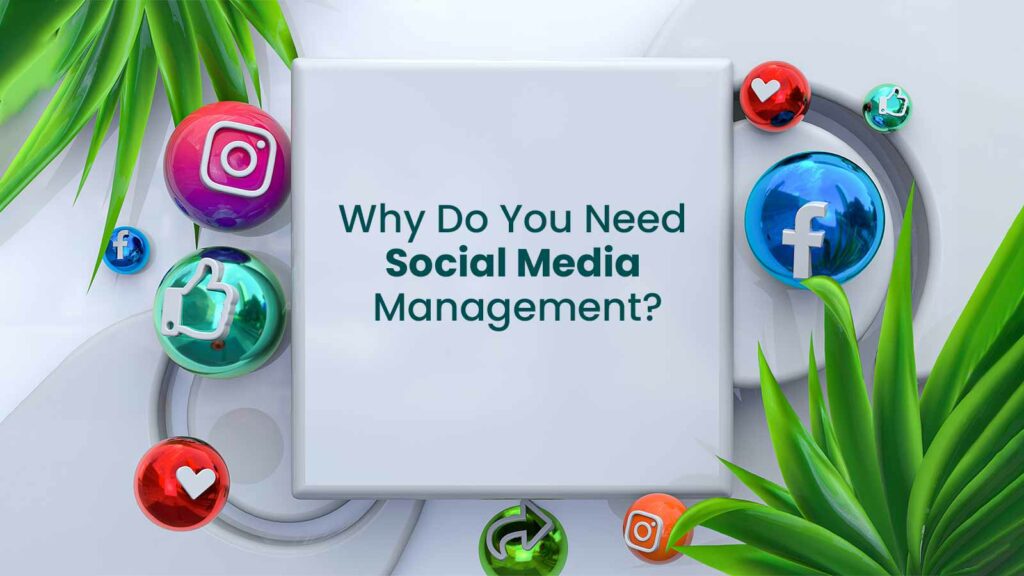 Why Do You Need Social Media Management
