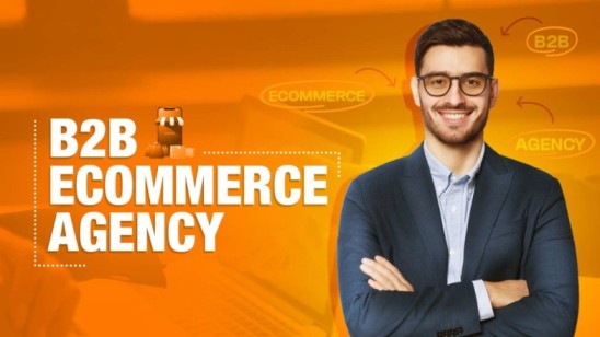 B2B Ecommerce Agency: What Do They Offer?